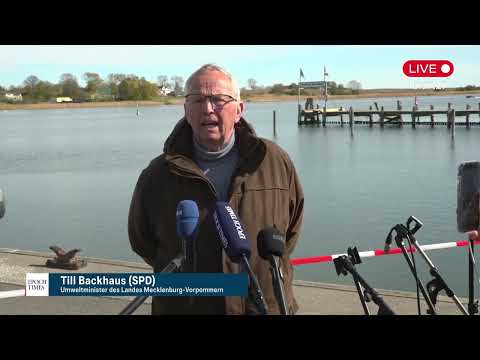Timmy-Hope ist im Kahn: Stellungnahme von Minister Backhaus
