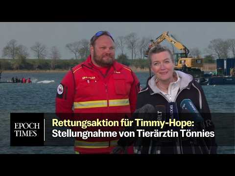 Timmy-Hope soll eine Blutuntersuchung bekommen – Stellungnahme von Tierärztin Tönnies und DLRG
