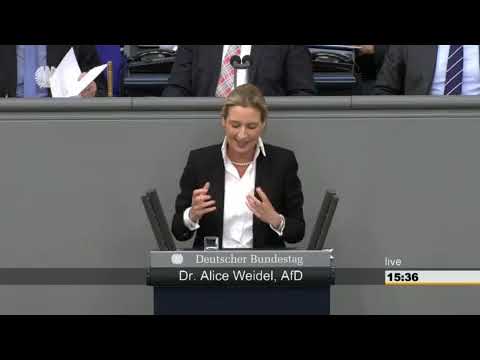 WEIDEL KLOPFT AUF DEN TISCH! 💥 Bundestag eskaliert – Scharfe Worte sorgen für Aufruhr!