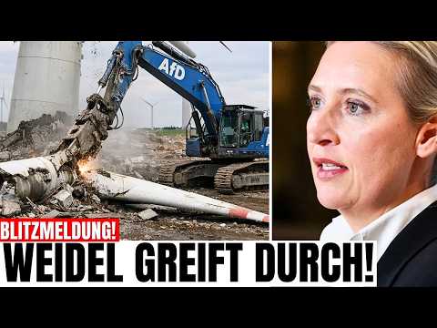 Weidel setzt Windkraft-Stopp durch – Merz RASTET AUS!