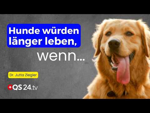 Wie Tierärzte die Gesundheit ihres Tieres gefährden | Dr. Jutta Ziegler | Naturmedizin | QS24