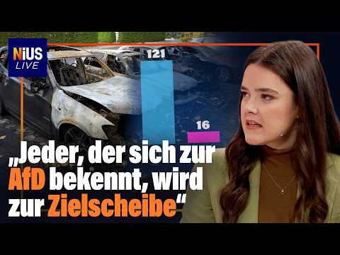 121 Angriffe auf die AfD: Die Statistik, über die kaum jemand spricht | NIUS Exklusiv