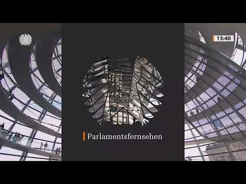 79. Sitzung im Bundestag: AfD auf dem Vormarsch – CDU unter Druck! Alice Weidel freut sich