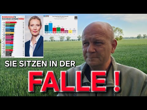 AfD EILT VON REKORD ZU REKORD 👍🏻