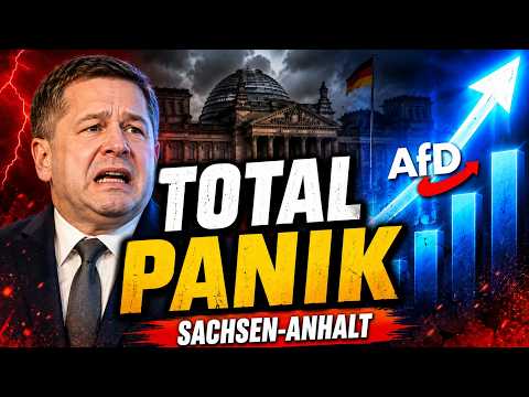AfD-Erfolg schockt das System | Schulze in TOTALER panikt