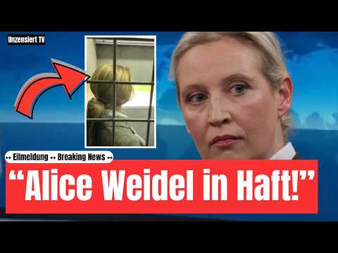 AfD erschüttert: Das ist der größte Skandal 2026 – Juristische Folgen in Vorbereitung! 🫨