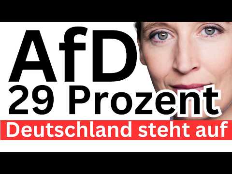 AfD Umfrage-Rekord ❌ Weidel Kanzler ❌
