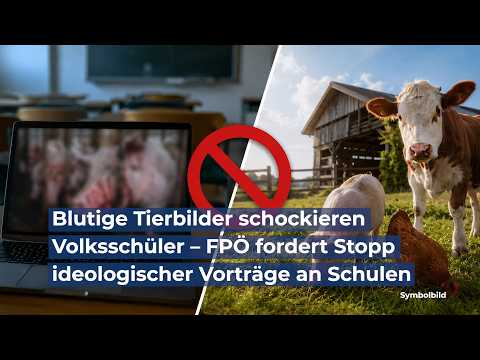 Blutige Tierbilder schockieren Volksschüler – FPÖ fordert Stopp ideologischer Vorträge an Schulen