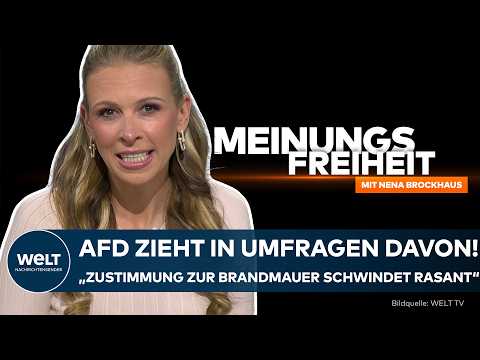 BROCKHAUS: AfD zieht in Umfragen davon! „Zustimmung zur Brandmauer schwindet rasant!“