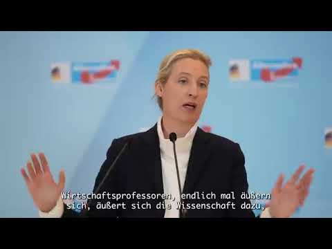 Bundeshaushalt verfassungswidrig? – Alice Weidel, die AfD und die Forderung NEUWAHL