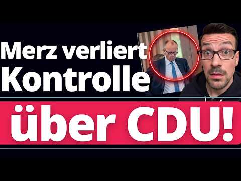 CDU Angriff auf AfD: Bundestagsabgeordnete sollen aus AfD-Partei AUSTRETEN! CDU Angriff auf AfD: Bundestagsabgeordnete sollen aus AfD-Partei AUSTRETEN!