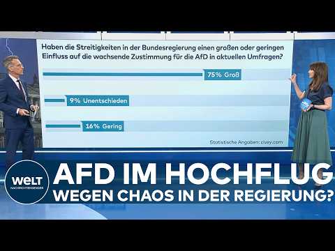 CIVEY-UMFRAGE: Treibt das Regierungschaos die AfD nach oben? Deutsche sehen klaren Zusammenhang!