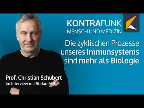 Das Immunsystem ganzheitlich betrachtet