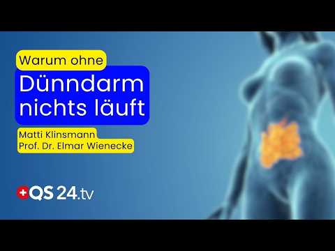 Dein Dünndarm entscheidet mehr, als du denkst! | Prof. Dr. Elmar Wienecke | QS24 Gremium