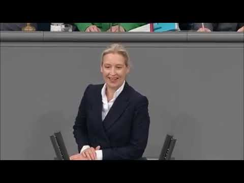 Die letzten Tage dieser Regierung haben begonnen! – Historischer Eklat im Parlament – Alice Weidel