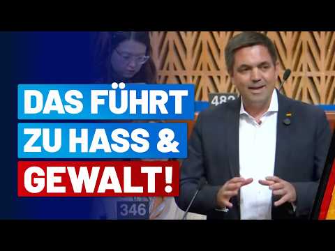 Dr. Malte Kaufmann richtet Appell an EU-Parlamentarier! – AfD-Fraktion im Bundestag