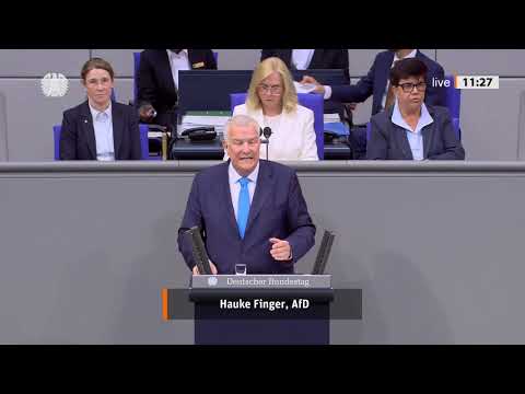 Droht der nächste Wirtschaftsschock? AfD warnt vor Industrie-Flucht, Luftverkehr am Boden