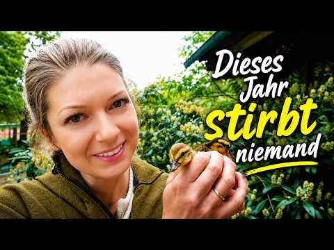 ​❌😮Dieses Jahr stirbt NIEMAND!​🐑​​🐓​🐣​