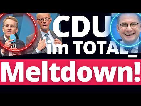 EIL: Sie drehen ALLE völlig am Rad! CDU könnte DOCH bald AfD-Verbotsverfahren anstoßen!