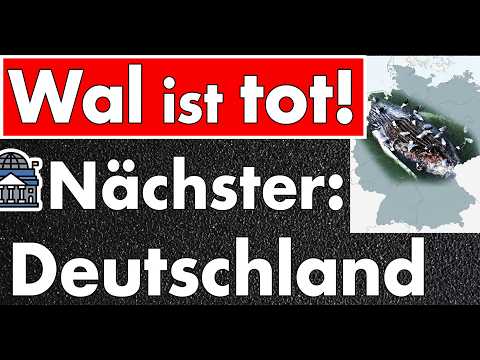 Experten, Gerichte und Politiker haben den Wal getötet – und Deutschland droht dasselbe Schicksal!