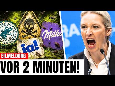 💥ACHTUNG! Zutaten in Schokolade Ersetzt mit Insekten & Billigen zutaten