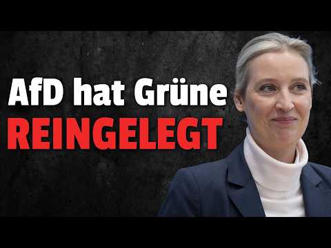 💥TABU BRUCH! Grüne stimmen mit AfD für wichtigen ANTRAG!