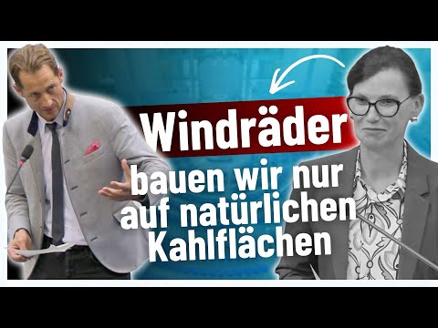 Frau Staatssekretärin (SPD), warum veranlassen Sie kein Moratorium für den Kernkraftrückbau?