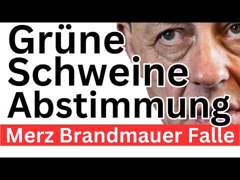 Grüne Lügen ❌ Merz Märchenstunde ❌