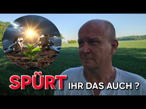 HALTET MICH NICHT FÜR VERRÜCKT, ABER…👍🏻