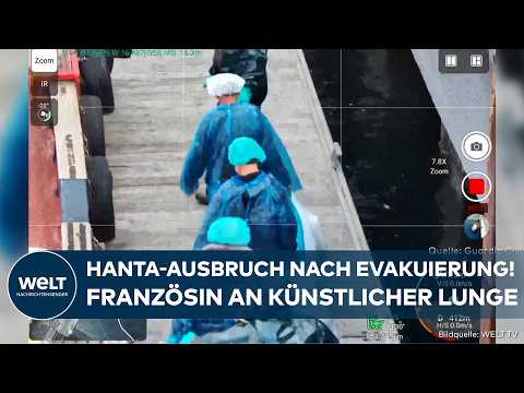 HANTAVIRUS: Ausbruch nach Evakuierung! Französin schwebt in Lebensgefahr
