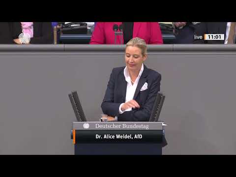 Hist. Bundestag: Sichere Renten möglich, Weidel rechnet ab: ‚Milliarden Steuergeld einfach verbrannt