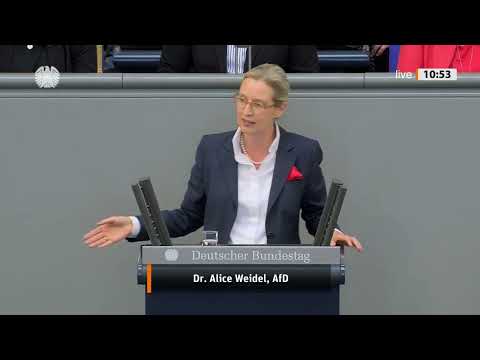 Hist. Knall im Bundestag „Heizungs-Streit eskaliert: Weidel greift Regierung frontal an“