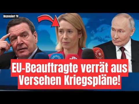Letzte Chance für Deutschland vertan: Jetzt ist wohl alles zu spät! Gerhard Schröder verzweifelt 🫨