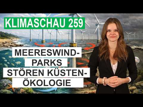 Meereswindparks stören die Strömung und Ökologie der Küstengewässer – Klimaschau 259