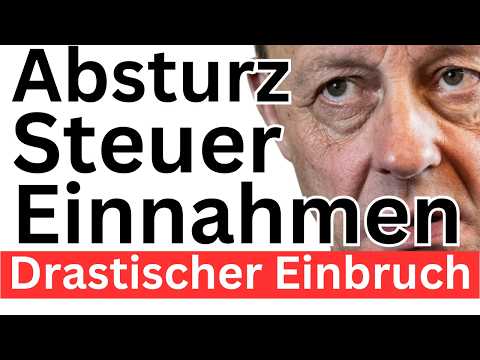 Merz Absturz Industrie und Steuern ❌