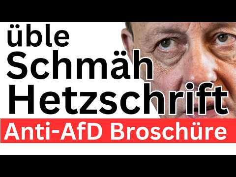 Merz Anti-AfD Hetzschrift ❌