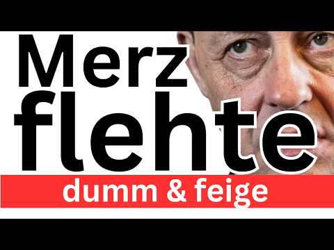 Merz bettelte ❌ CDU Titanic ❌