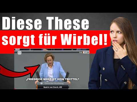 Merz hat einen genauen Plan dahinter!