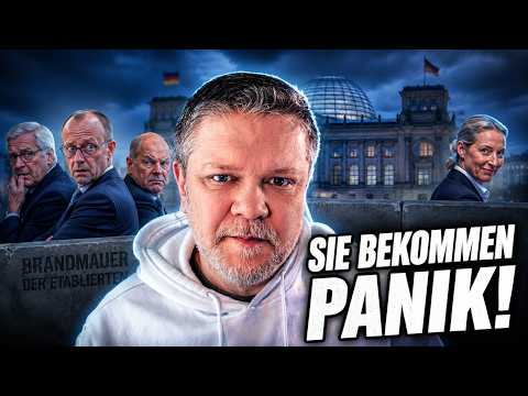 Panik statt Politik? So dramatisieren abgehalfterte Politiker die AfD Debatte!
