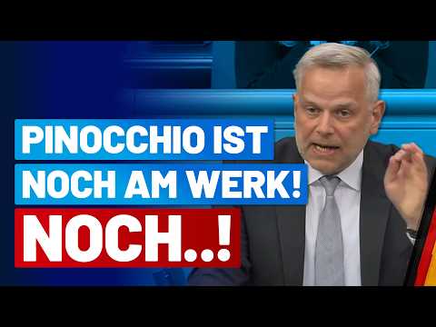 Richtung: Abgrund! Gekreische bei Leif‑Erik Holms kompromissloser Abrechnung mit 1 Jahr Schwarz-Rot!