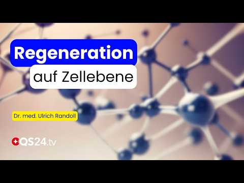 System-Medizin vs. Matrix-Philosophie: Die neue Art, Gesundheit zu verstehen | Naturmedizin | QS24