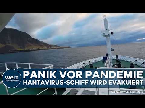 TENERIFFA: Furcht vor Pandemie! WHO äußert sich! Schiff wird nach Ausbruch von Hantavirus evakuiert