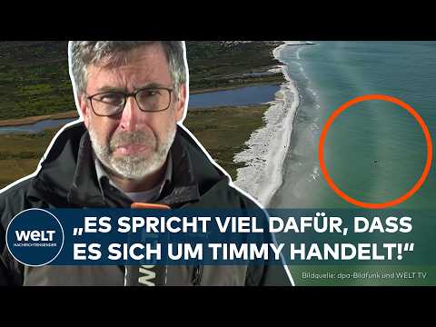 UNHEIMLICHER FUND IM MEER: Rätselhafter Wal-Kadaver löst Sorge um Timmy aus!