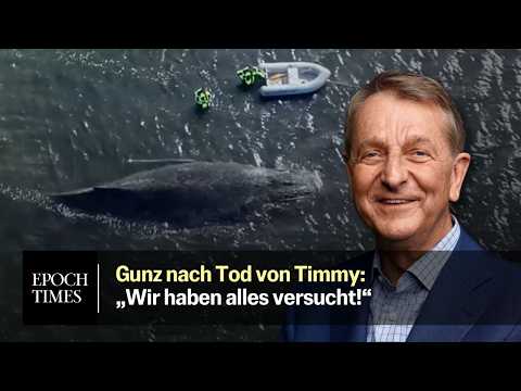 Unternehmer Walter Gunz: „Timmy hat mein Herz wieder aktiviert“