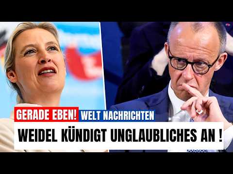Weidel stellt Merz ein knallhartes Ultimatum für die Zusammenarbeit! Unglaubliche News