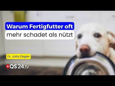 Wenn Futter krank macht – Die häufigsten Fehler bei der Tierfütterung | Naturmedizin | QS24
