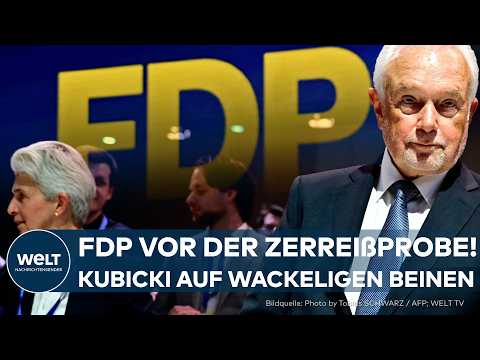 WIEDERBELEBUNG DER FDP: Wolfgang Kubicki startet auf wackeligen Beinen | Probleme in der Partei