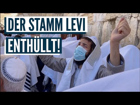 Wir haben den Stamm Levi entdeckt! *Bewegend* Wer sind die 12 Stämme Israels?