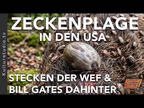 ZECKNPLAGE IN DEN USA – EIN PLAN VOM WEF & BILL GATES?