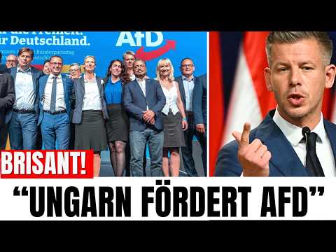 AfD hat ein Angebot aus UNGARN bekommen – Das könnte alles verändern AfD hat ein Angebot aus UNGARN bekommen – Das könnte alles verändern